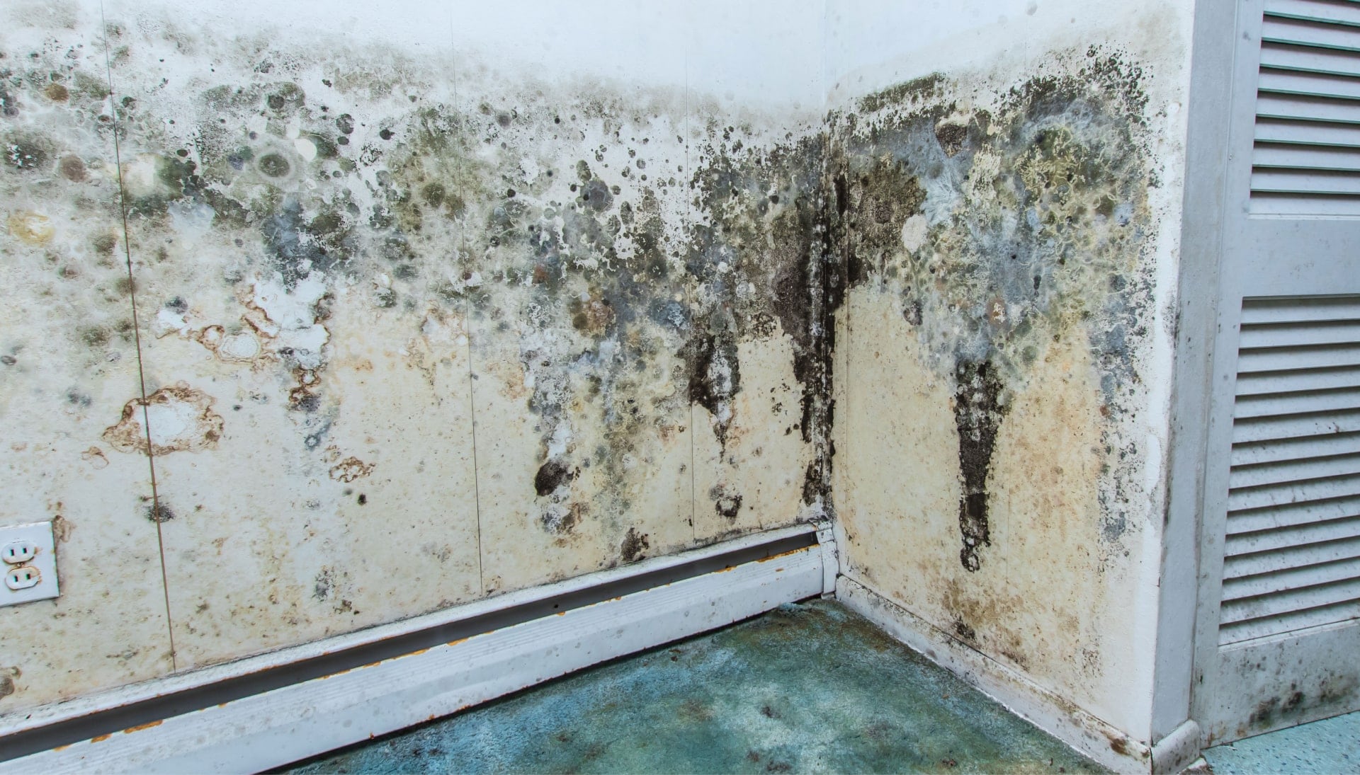 Mold Damage Odor Control Services in Aurora