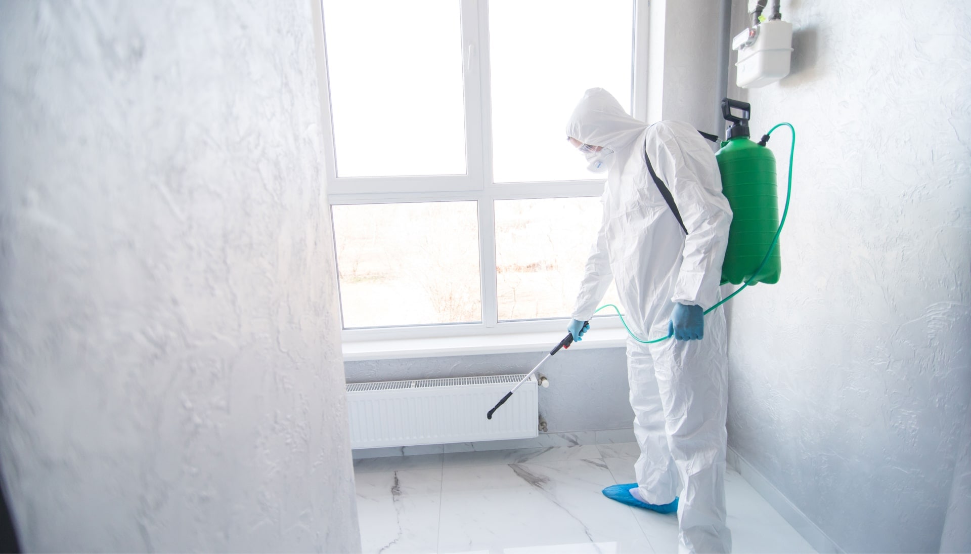 Mold Inspection Services in Aurora